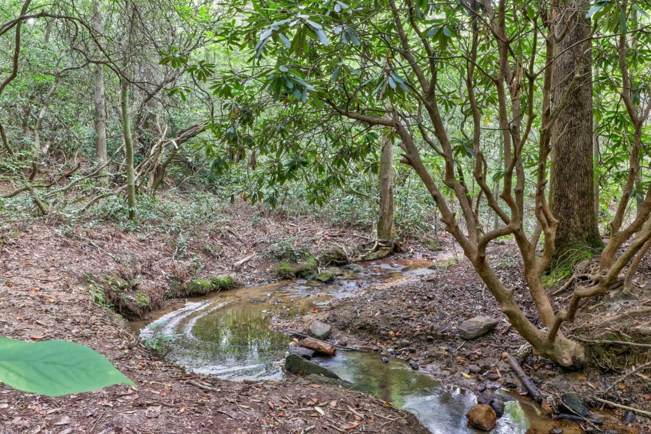 Four Cubs In The Creek Βίλα Sautee Nacoochee Εξωτερικό φωτογραφία